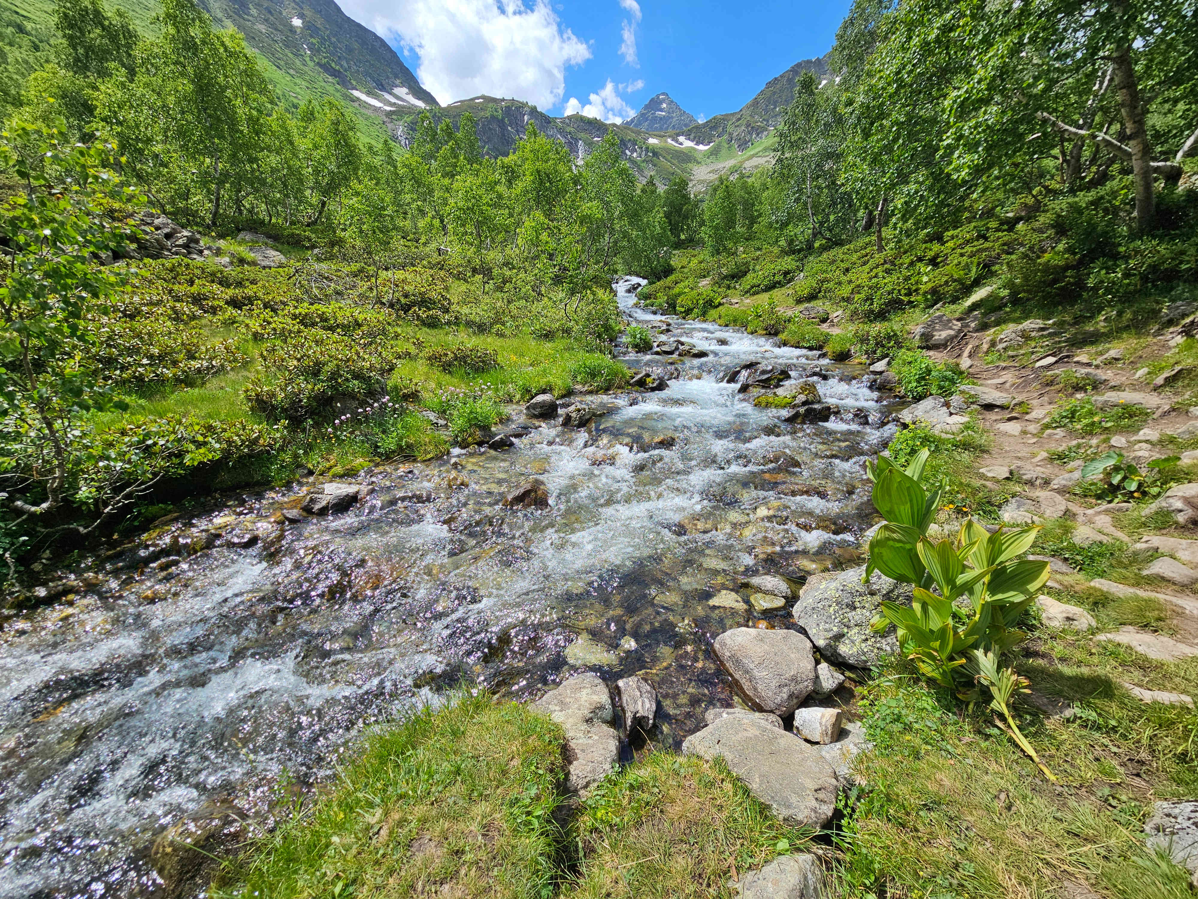 Ducca Lakes
